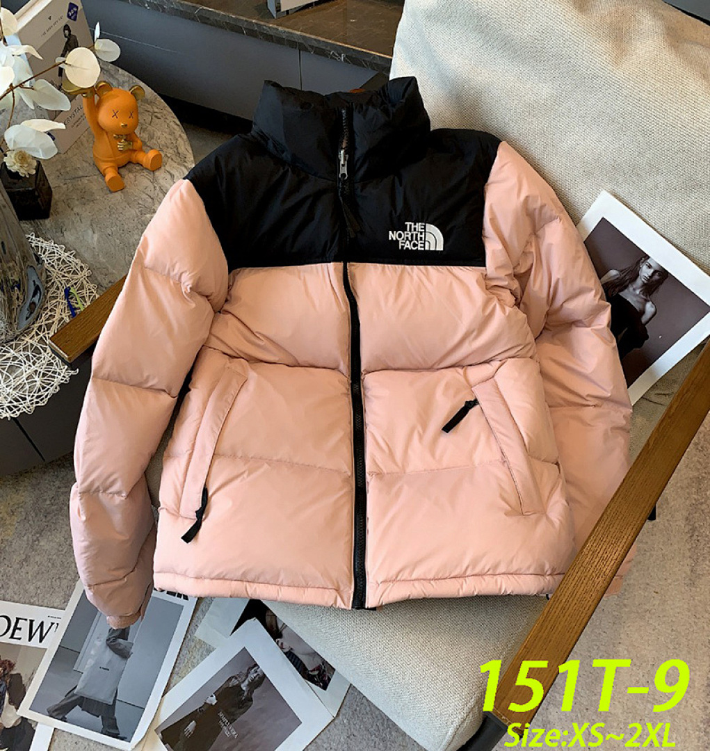 The North Face 1996 Retro Nuptse · 151T — תמונה 4