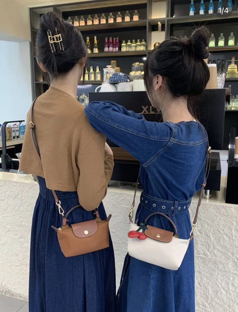 Longchamp Le Pliage Xtra XS Pouch · GW84