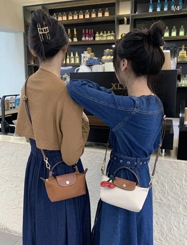 Longchamp Le Pliage Xtra XS Pouch · GW84