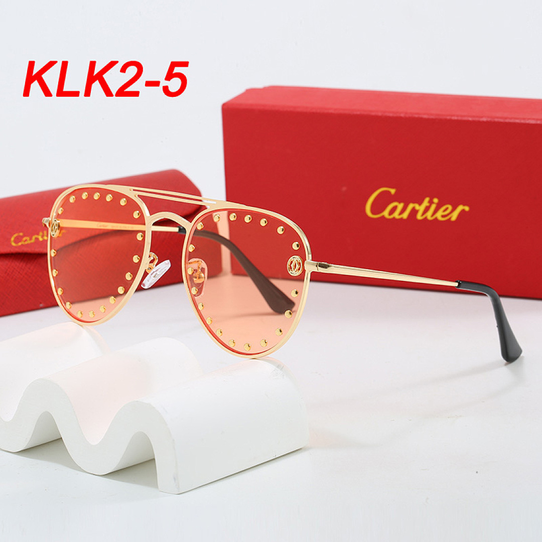 Cartier Santos · KLK2 — תמונה 7