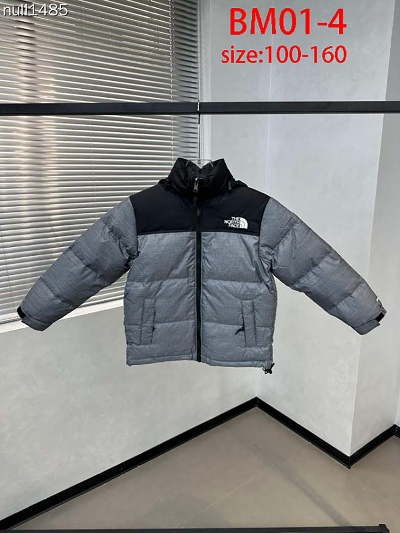The North Face 1996 Retro Nuptse · BM01 — תמונה 20