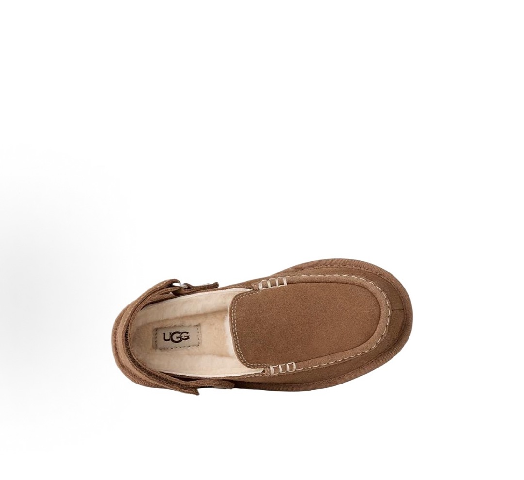 UGG Goldenstar Evelina · KGG — תמונה 4