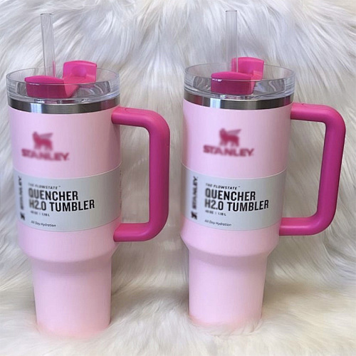 Stanley Quencher H2.0 FlowState Tumbler · Y02T