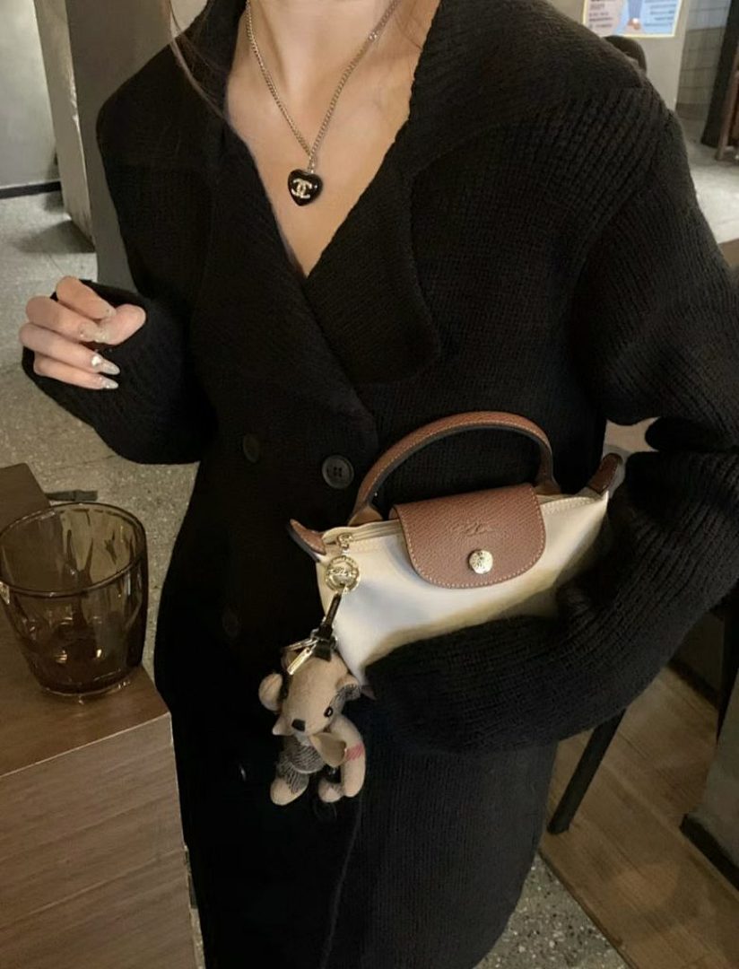 Longchamp Le Pliage Xtra XS Pouch · GW84 — תמונה 6