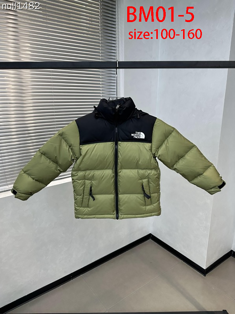 The North Face 1996 Retro Nuptse · BM01 — תמונה 19