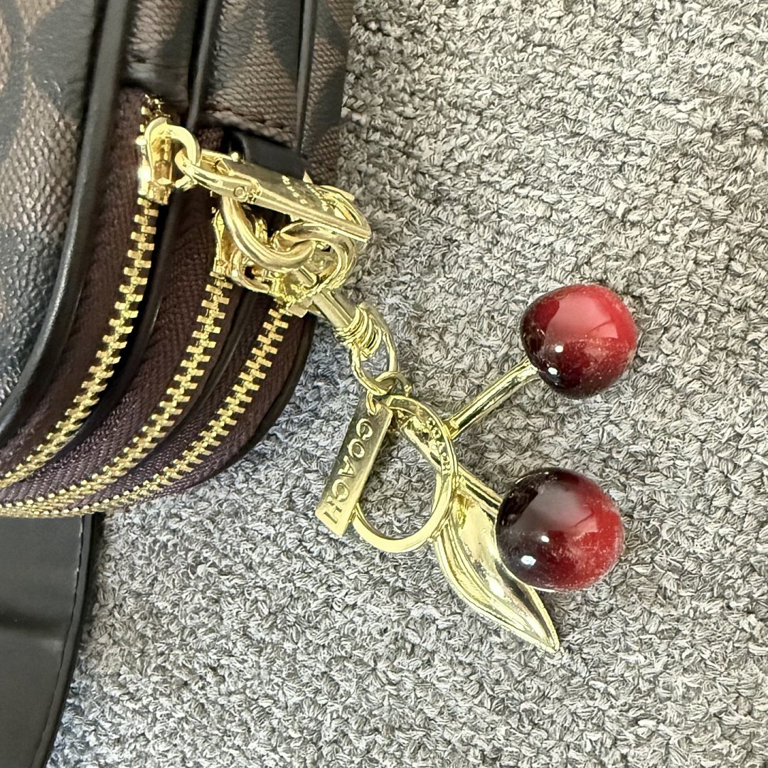 Coach Mini Jamie Camera Bag · GS95 — תמונה 2