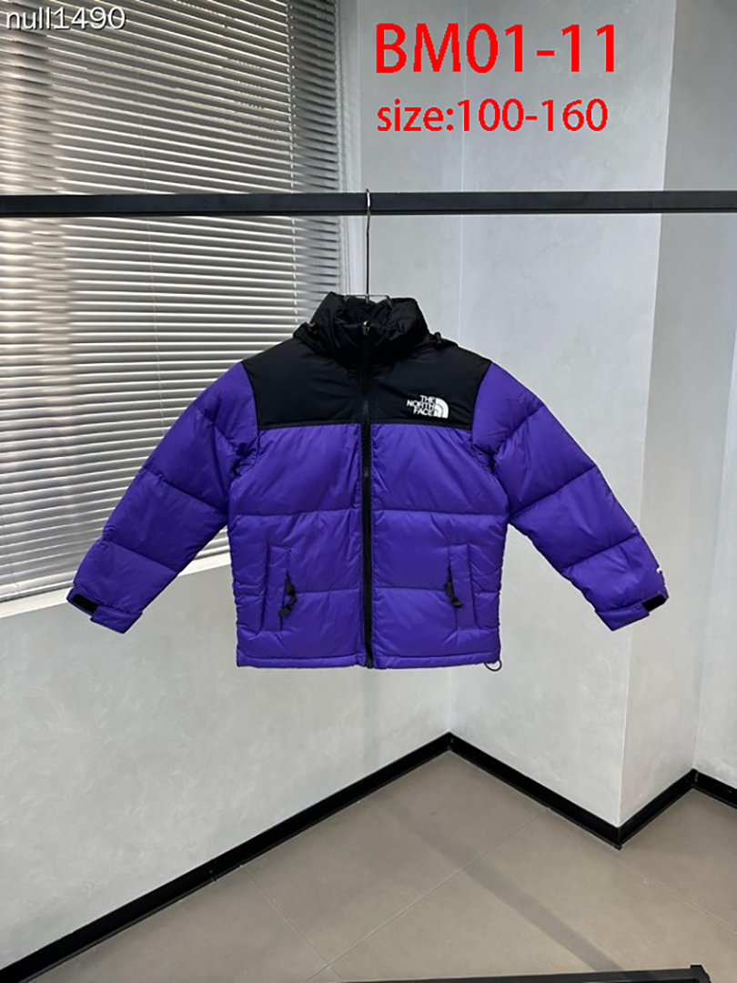 The North Face 1996 Retro Nuptse · BM01 — תמונה 13