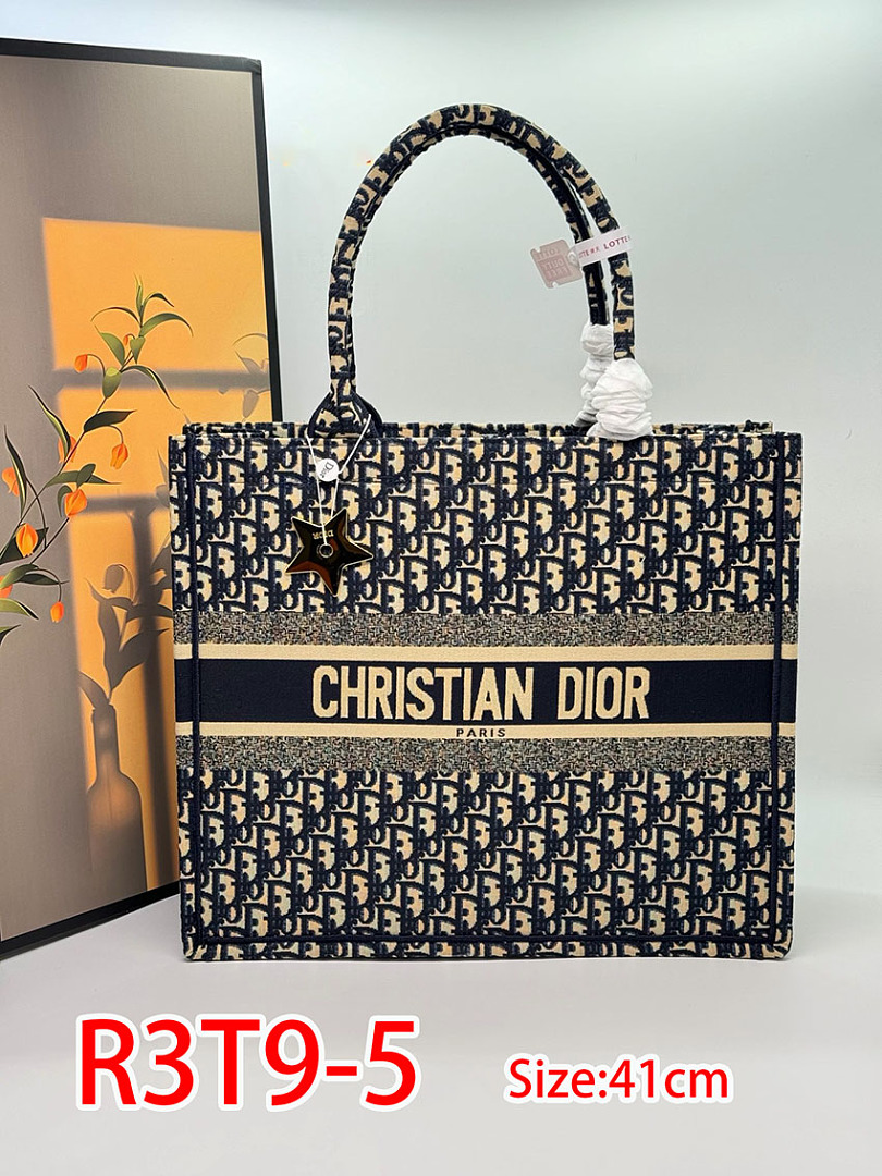 Dior Book Tote · R3T9 — תמונה 14