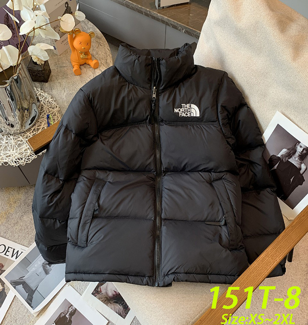 The North Face 1996 Retro Nuptse · 151T — תמונה 5