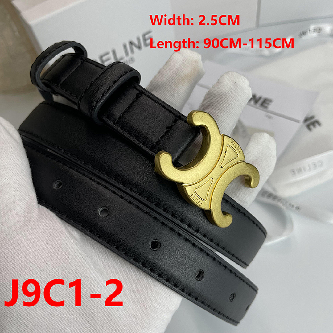 Celine Triomphe Belt · J9C1 — תמונה 15