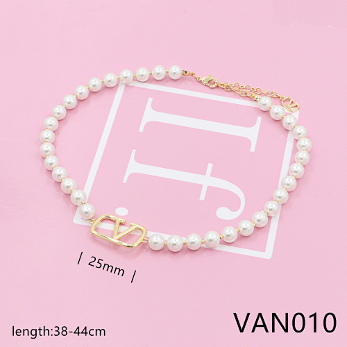 VAN1 Valentino