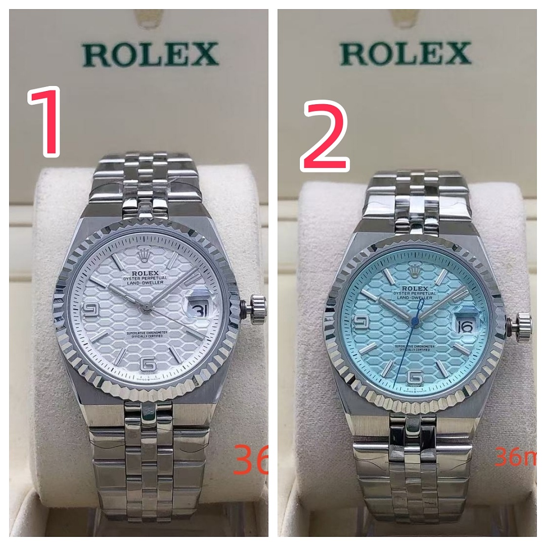 Rolex Land-Dweller 36 · ZT14124 — תמונה 2