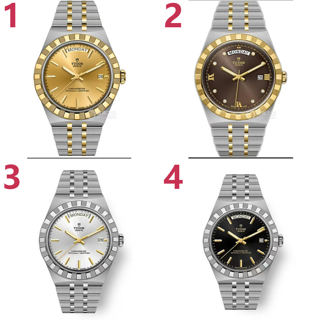 Tudor Royal · ZT13974 — תמונה 9
