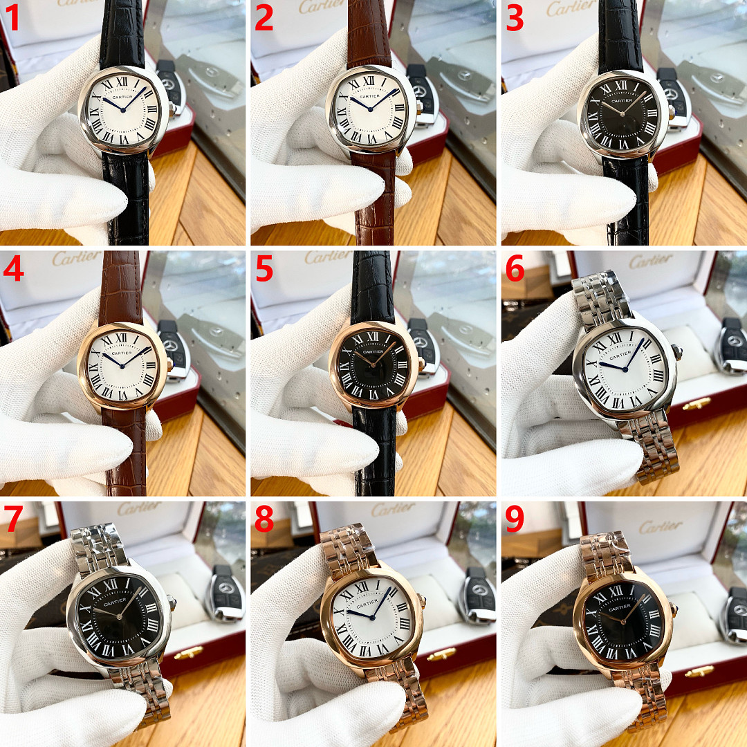 Drive de Cartier · ZT13718 — תמונה 19