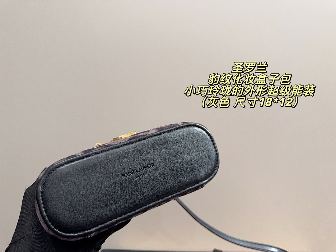 Saint Laurent Gaby Vanity · 5916 — תמונה 4