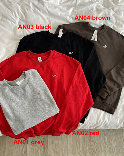 Alo Yoga Accolade Crew Neck Pullover · A2748