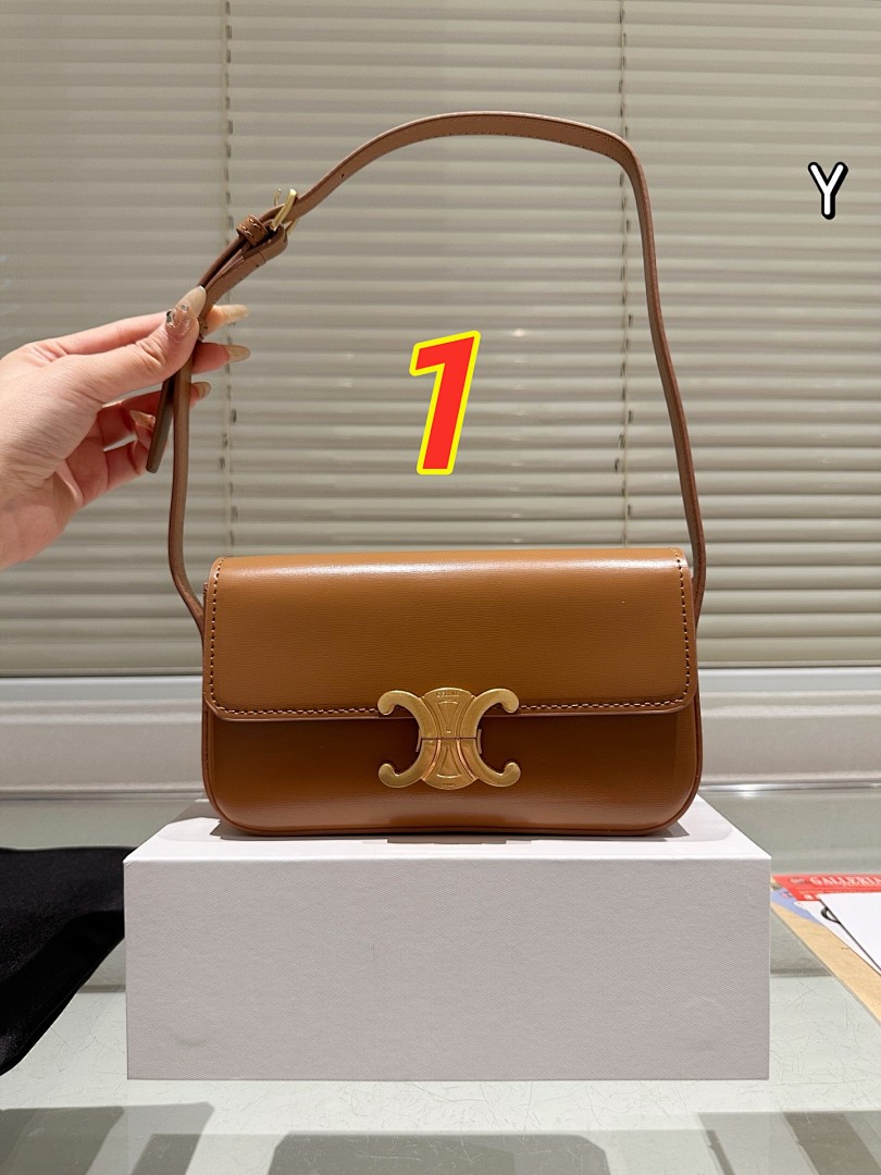 Celine Classique Triomphe · 5484