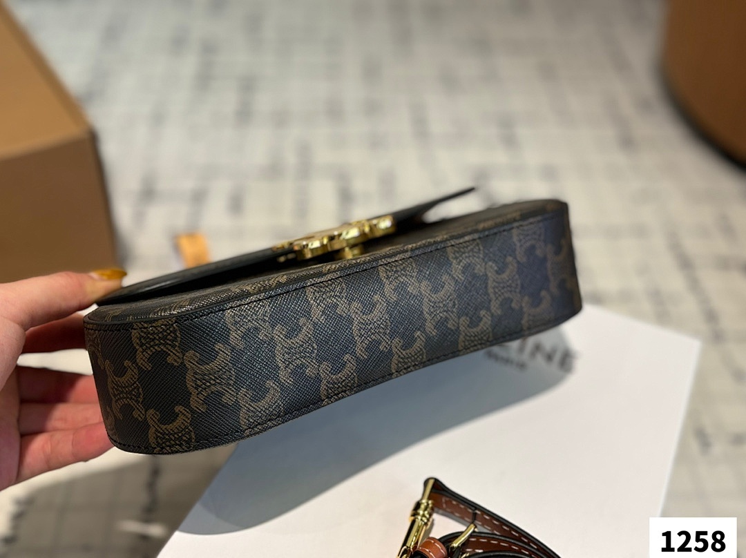 Celine Mini Claude Triomphe · 5717 — תמונה 14