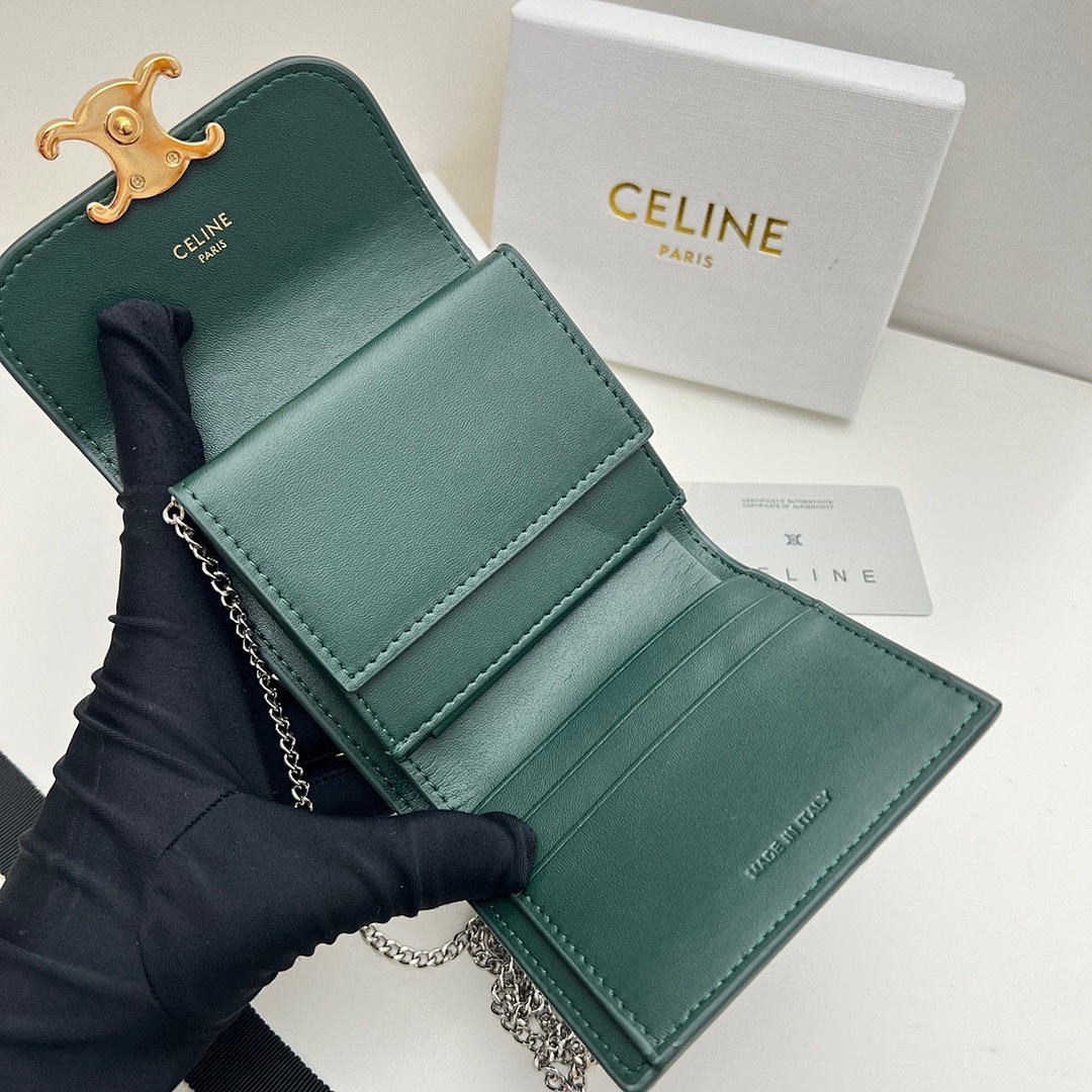 Celine Triomphe · 5119 — תמונה 15