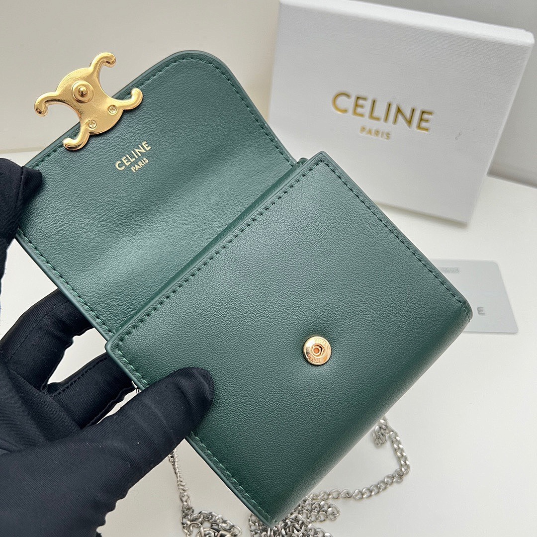 Celine Triomphe · 5119 — תמונה 16
