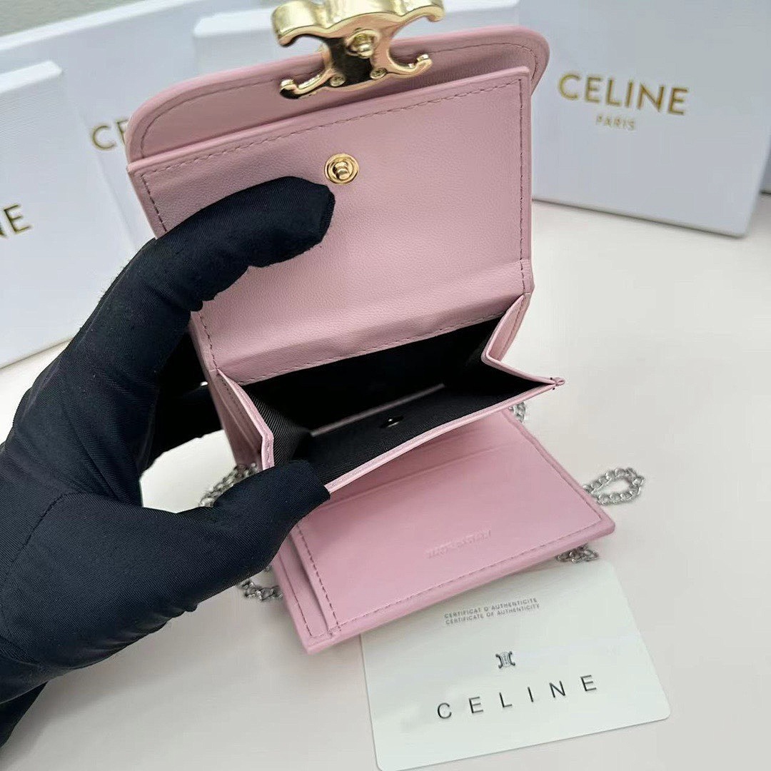 Celine Triomphe · 5119 — תמונה 21