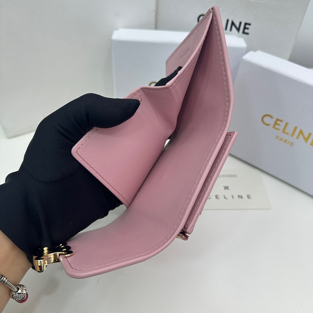 CELINE Triomphe Small Flap Wallet · 5485 — תמונה 14