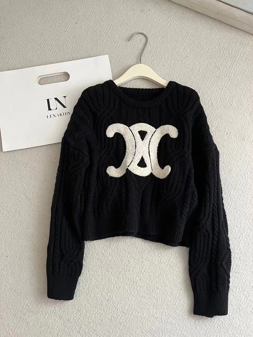 Celine Triomphe Logo Sweater · A2707 — תמונה 9