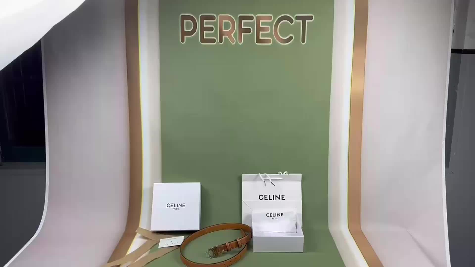 CELINE Triomphe Belt · 4909 — תמונה 3