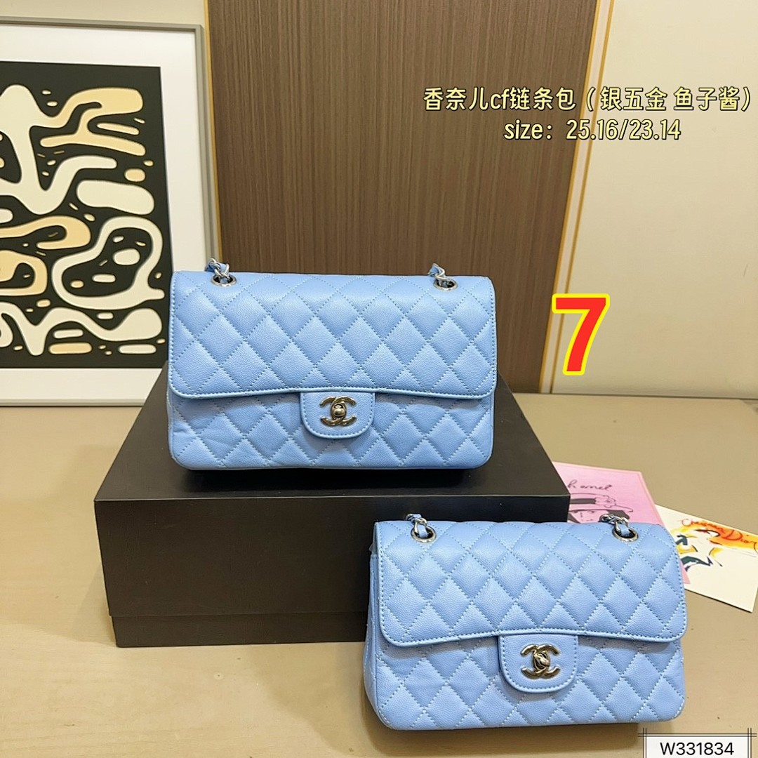 Chanel Classic Flap Bag · 5895 — תמונה 12