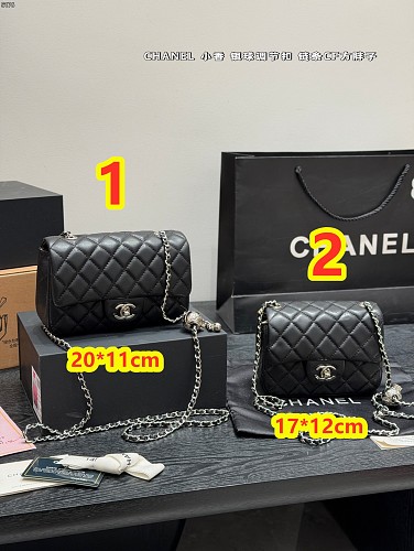 Chanel Classic Flap Mini · 6401