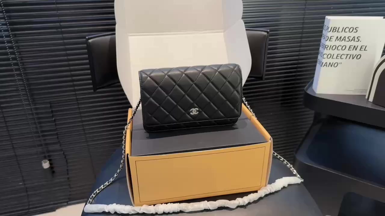 Chanel Classic Wallet on Chain (WOC) · 6313 — תמונה 2