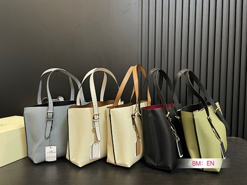 Coach Mollie Tote Bag 25 · 4931