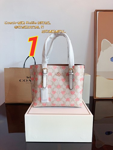 Coach Mollie Tote 25 · 5018