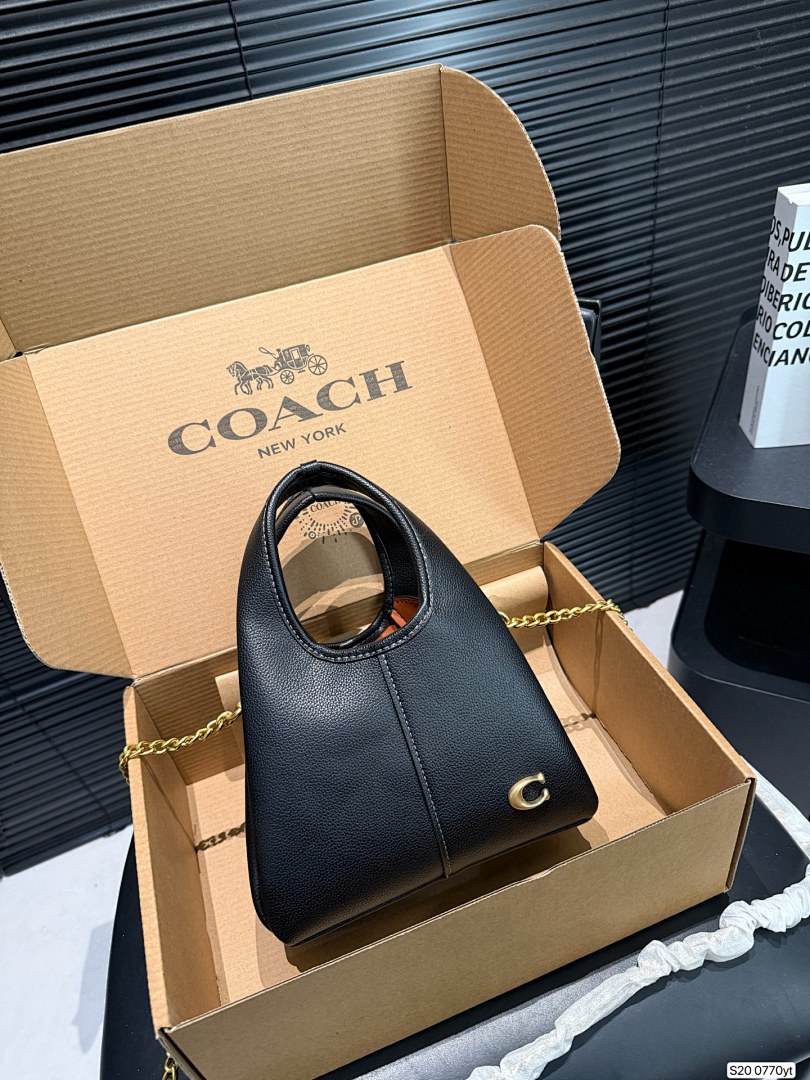 Coach Lana Shoulder Bag 19 · 6093 — תמונה 10