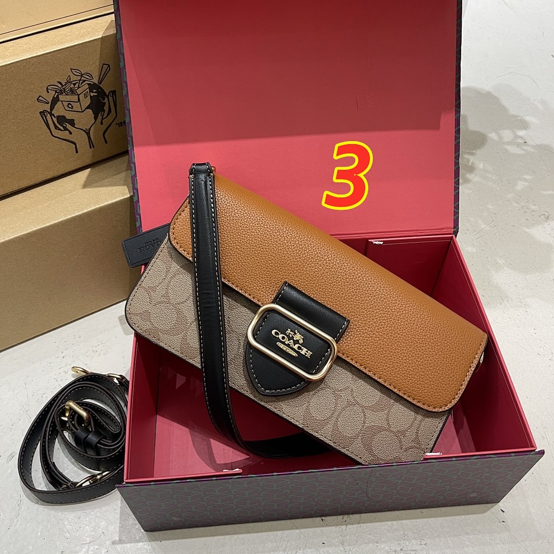 Coach Morgan · 4856 — תמונה 4