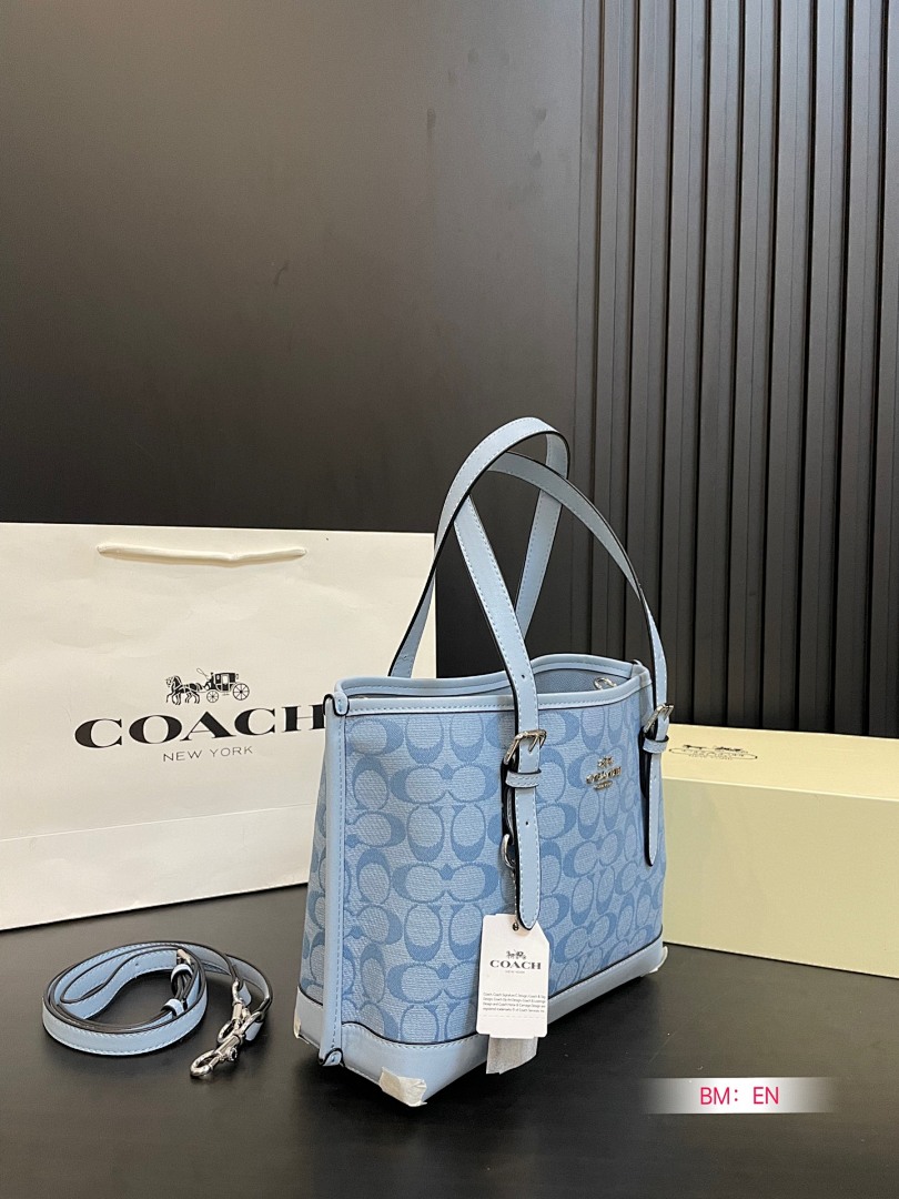 Coach Mollie Tote Bag 25 · 4931 — תמונה 38