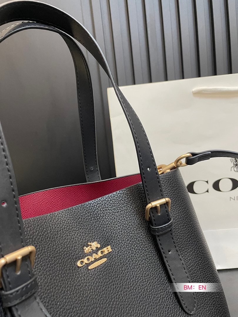 Coach Mollie Tote Bag 25 · 4931 — תמונה 28