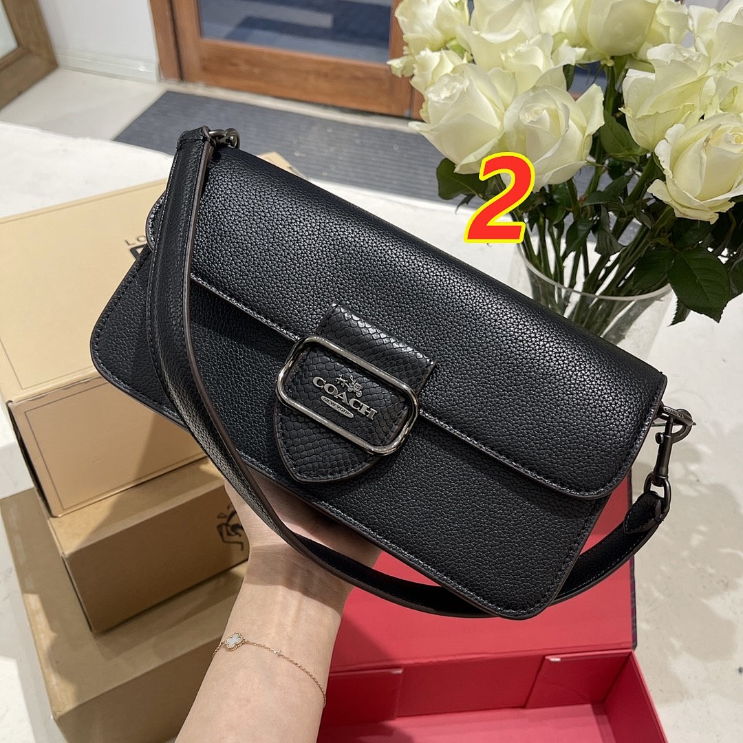 Coach Morgan · 4856 — תמונה 3