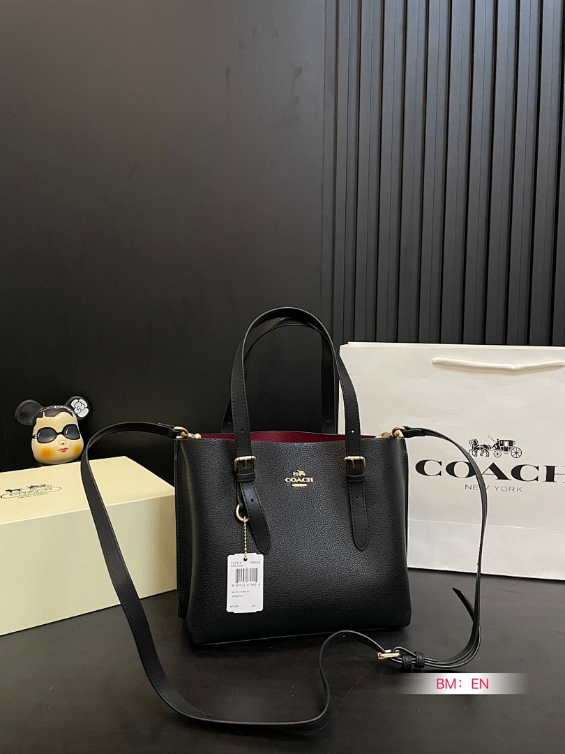 Coach Mollie Tote Bag 25 · 4931 — תמונה 32