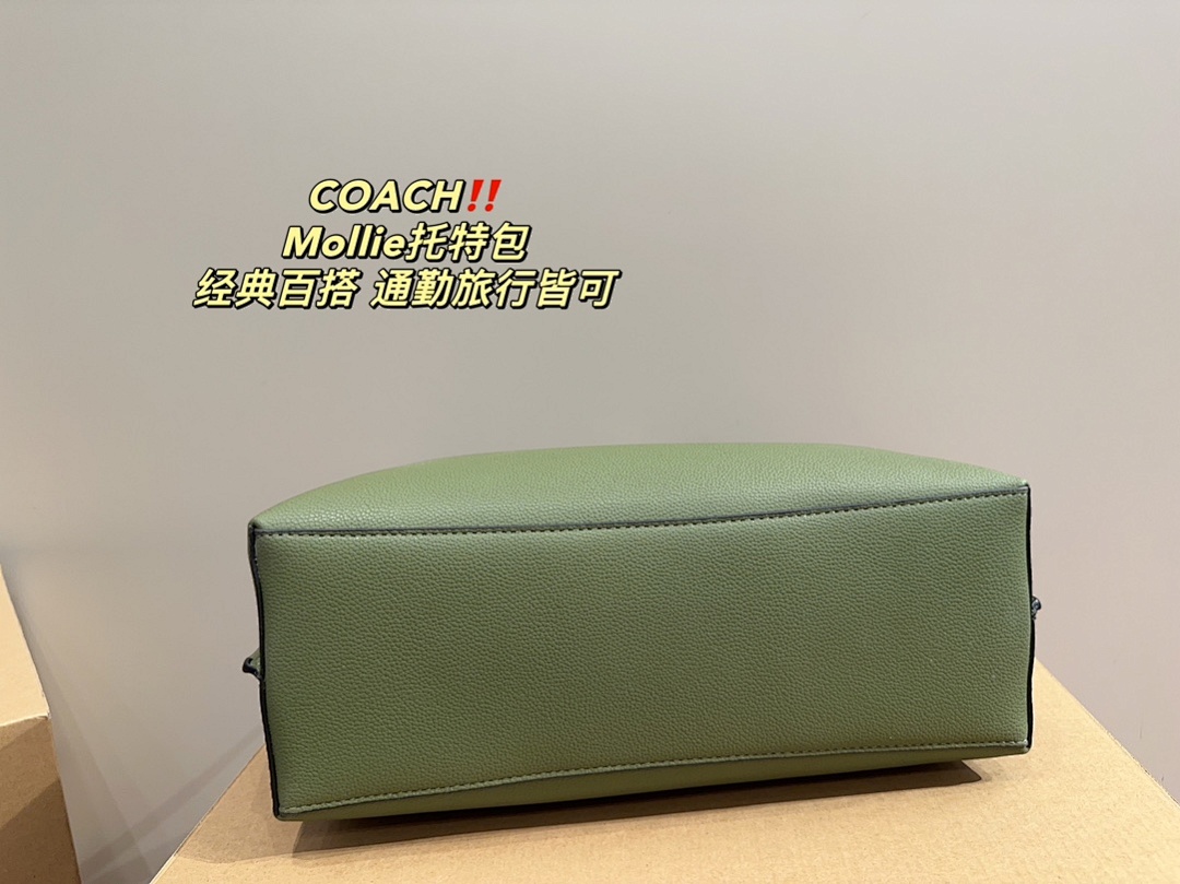 Coach City Tote · 3766 — תמונה 17