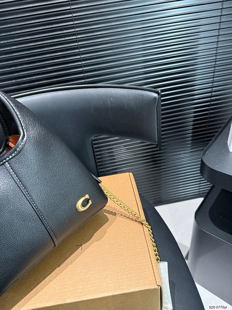 Coach Lana Shoulder Bag 19 · 6093 — תמונה 7