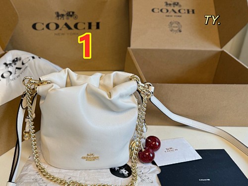 Coach Faye Mini Drawstring Bag · 6094