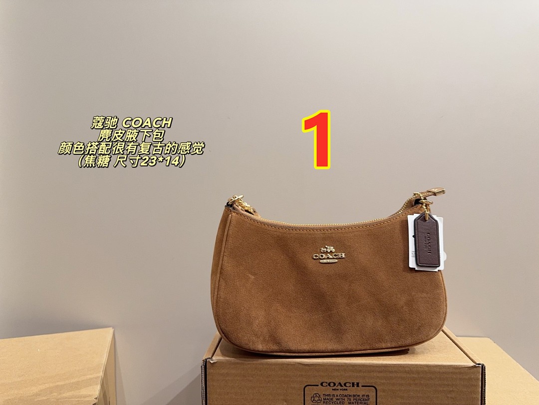 Coach Teri Mini · 5766
