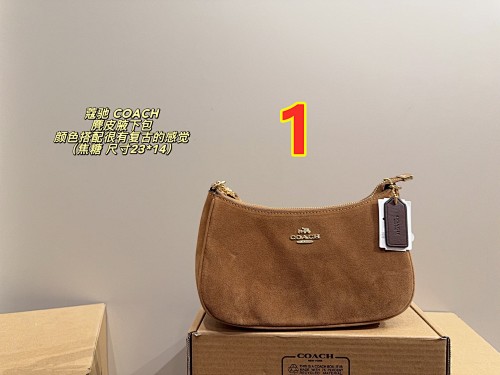 Coach Teri Mini · 5766