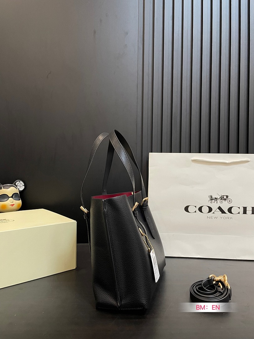 Coach Mollie Tote Bag 25 · 4931 — תמונה 29