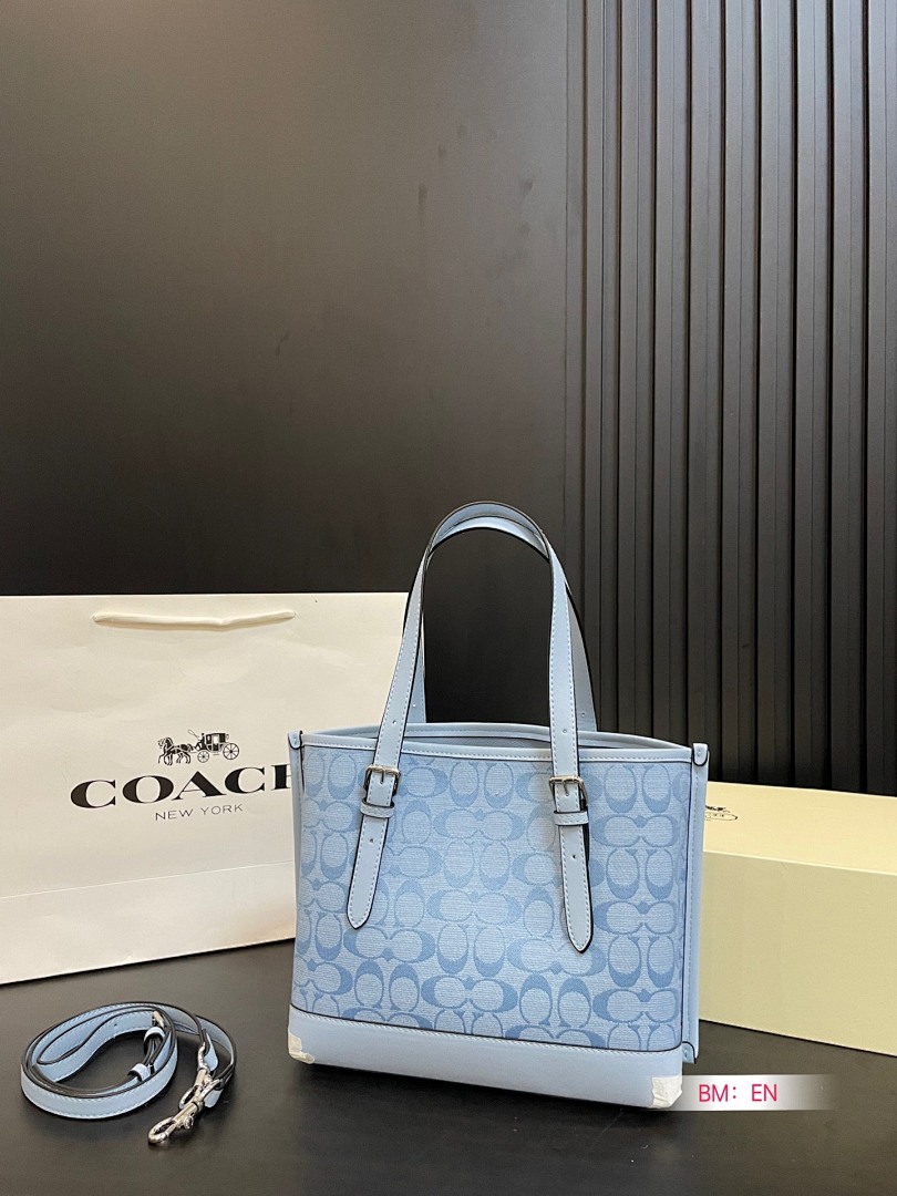 Coach Mollie Tote Bag 25 · 4931 — תמונה 37