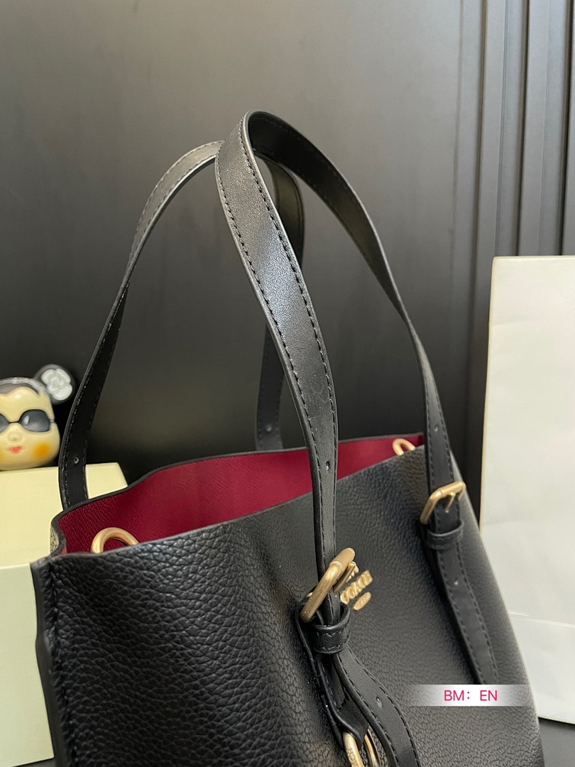 Coach Mollie Tote Bag 25 · 4931 — תמונה 27