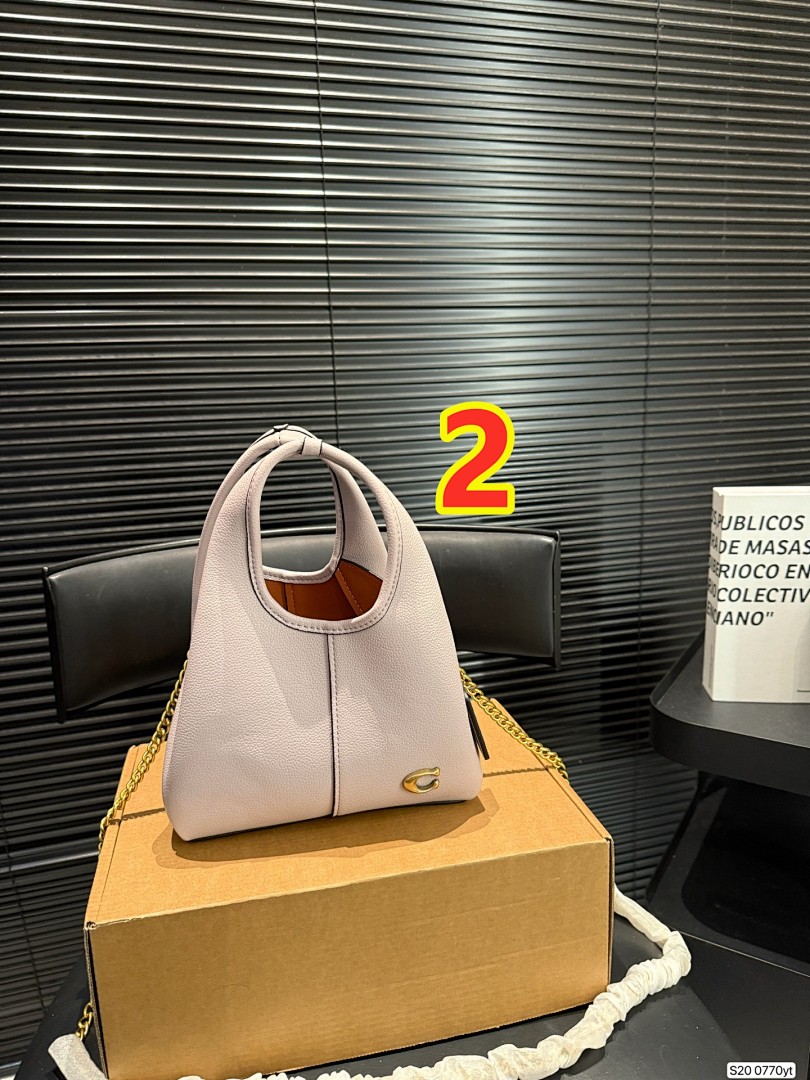 Coach Lana Shoulder Bag 19 · 6093 — תמונה 13