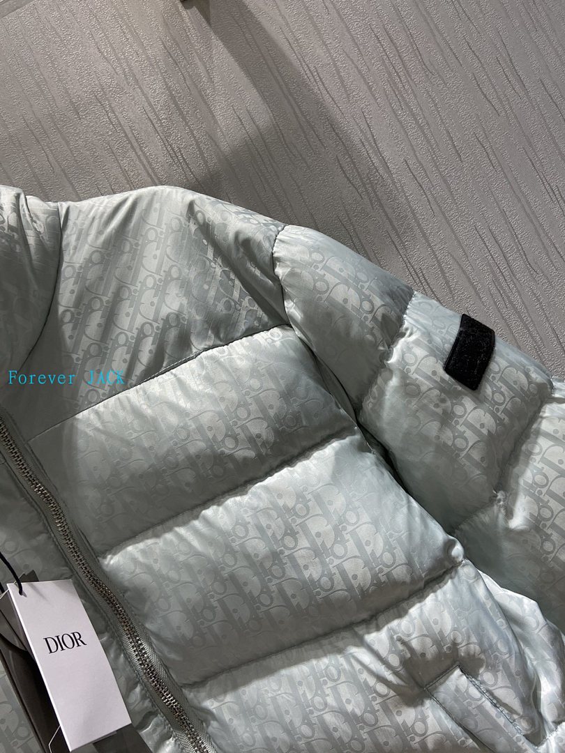 Dior Oblique Down Jacket · 4836 — תמונה 33
