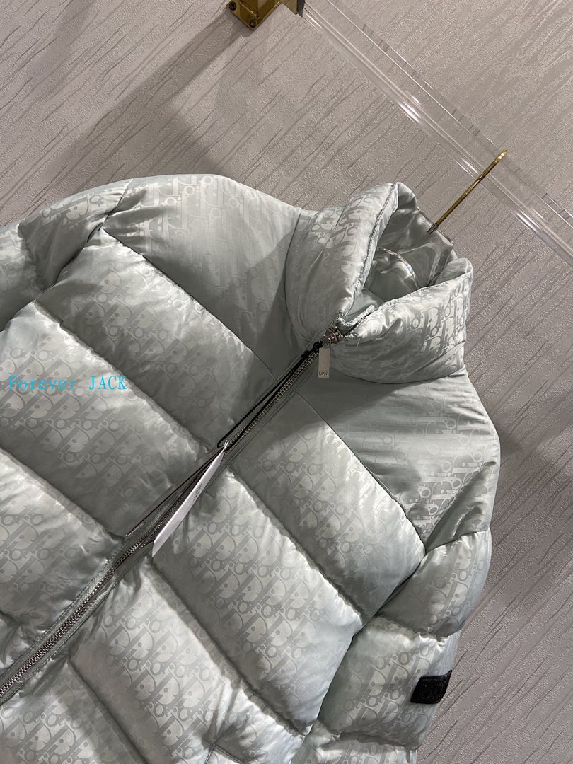 Dior Oblique Down Jacket · 4836 — תמונה 35